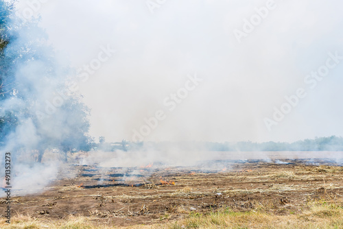Burning straw in rice plantation in thailand.