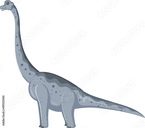 Brachiosaurus dinosaur on white background