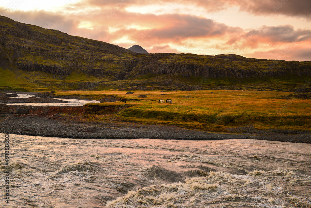 Icelandic horses grazing across the fast-flowing Kolgríma river during a dramatic sunset, near Hofn village, South Coast of Iceland Icelandic horses grazing across the fast-flowing Kolgríma river during a dramatic sunset, near Hofn village, South Coast of Iceland