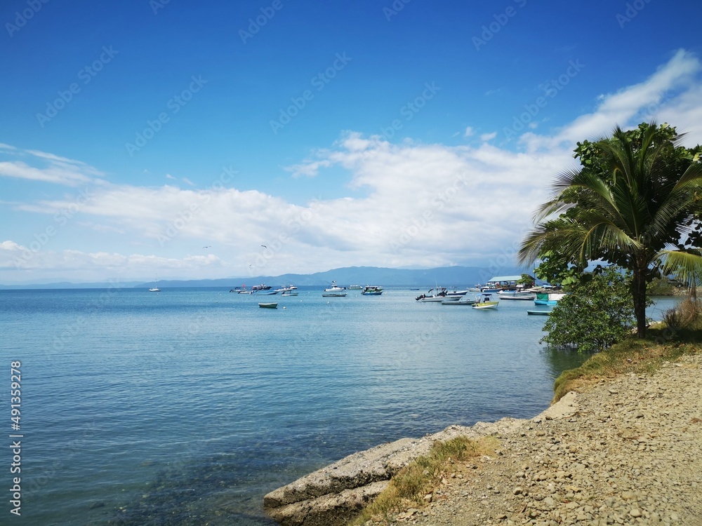 Fototapeta premium Playa Blanca, Osa Peninsula, Puntarenas, Costa Rica