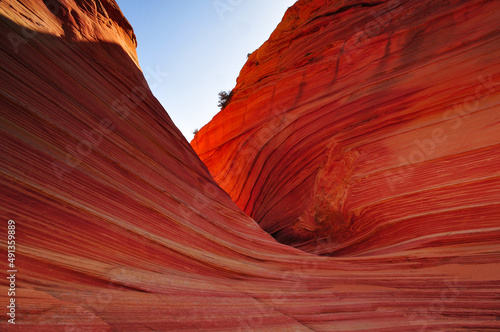 Early morning reflected light on The Wave sandstone formation, Coyote Buttes North, Vermilion Cliffs National Monument, Arizona, USA