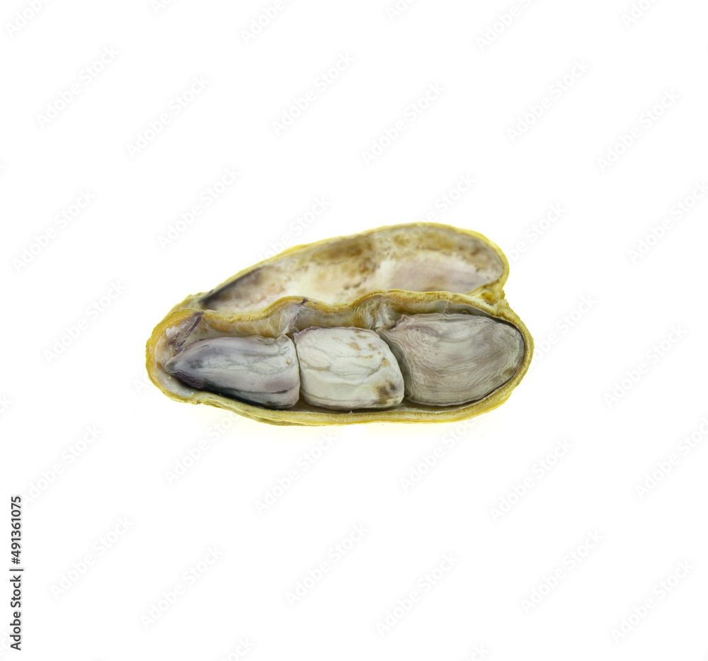 shelled peanuts isolated on a white background shelled peanuts isolated on a white background