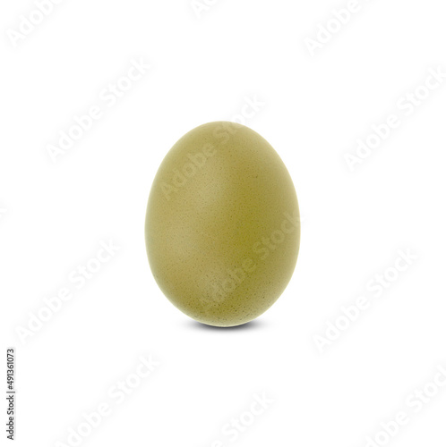 one chicken egg isolated on a white background