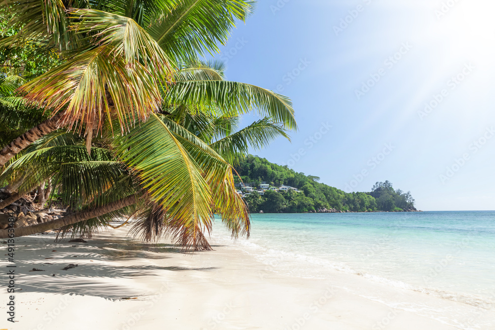 Tropical beach with palm trees Stock Photo | Adobe Stock