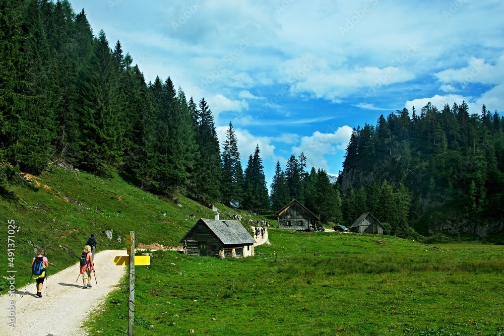 Austrian Alps - view from the path near Standseilbahn Wurzeralm station in the Totes Gebirge