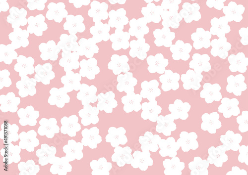 レトロ　桜　背景　イラスト