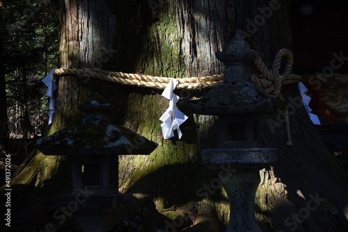 The culture and tradition of Japanese shrines Shimenawa. Shimenawa is a sacred rope of ric-straw.It separetes a holy place from other unclean places and is concidered a barrier against evil sprits.  photo