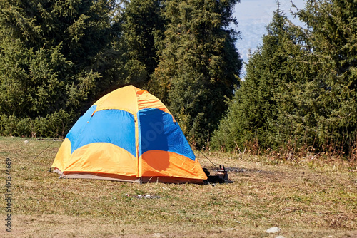 tourist tents set up among the fir trees