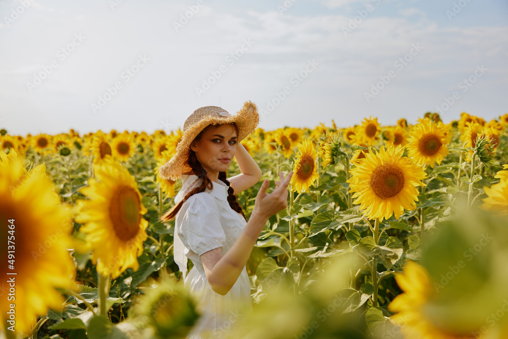 woman with two pigtails In a field with blooming sunflowers landscape woman with two pigtails In a field with blooming sunflowers landscape