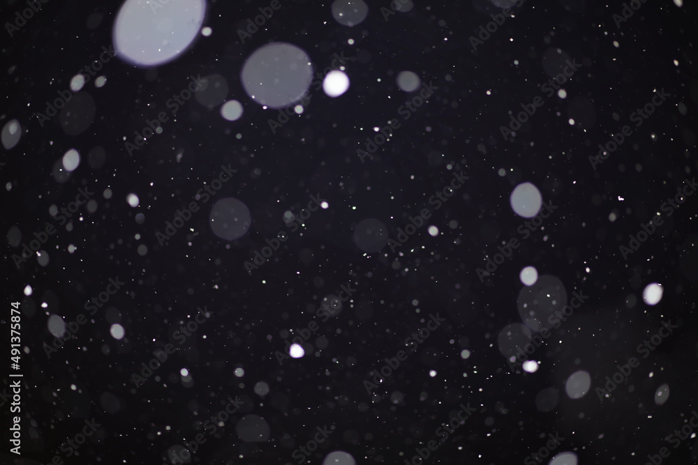Obraz premium Snow on a black background. Snowflakes for overlay. Snow background.