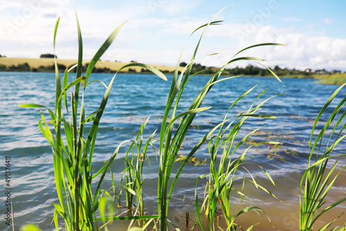 Water surface. The texture of the water. Waves on the lake in windy weather.