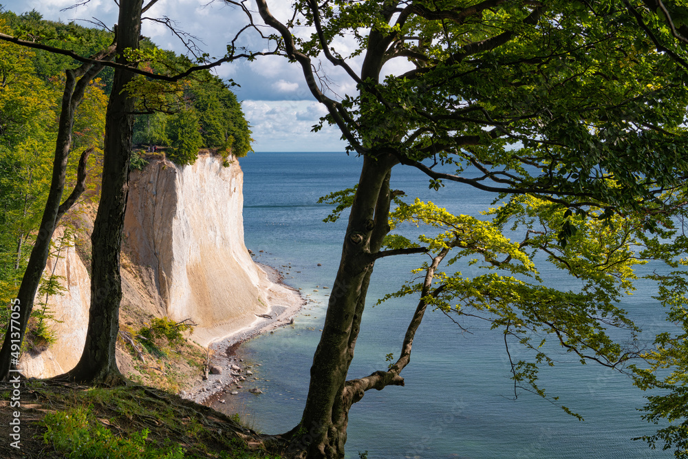 Fototapeta premium Kreideküste auf Rügen 