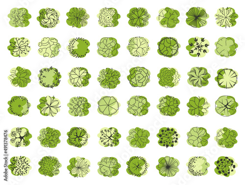 Trees for the plan. Tree for architectural floor plans. Entourage design. Various trees, bushes, and shrubs, top view for the landscape design plan. Vector illustration.