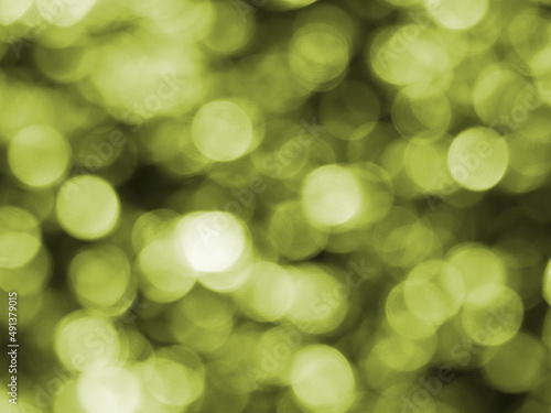 blurred nature background. bokeh