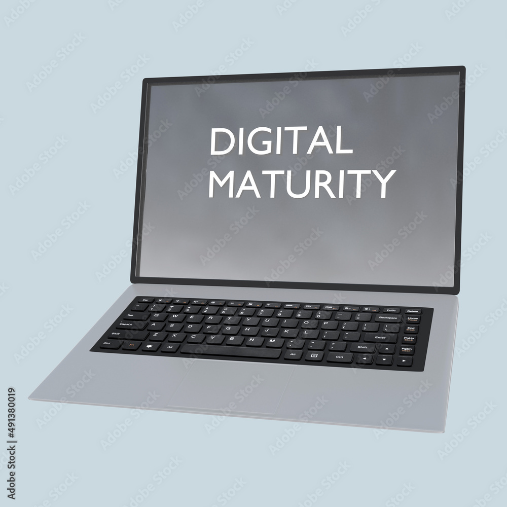 Digital Maturity concept Digital Maturity concept
