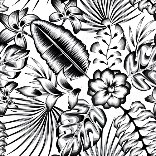 beautiful vintage rainforest tropical plants leaves seamless pattern fashionable with abstract monochromatic jasmine flower and banana monstera plant foliage on white background. Summer print design