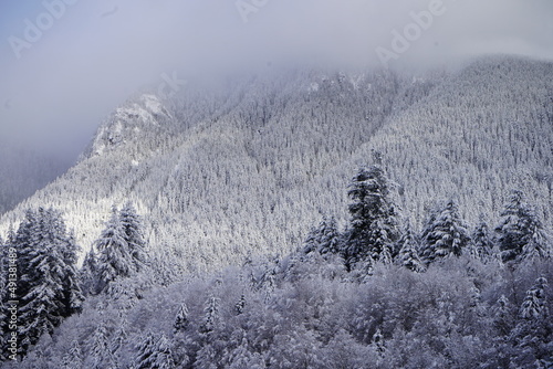 白銀の世界 雪 冬山 樹氷 カナダ 北米 山