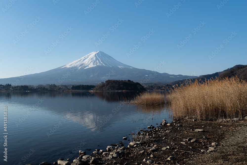 河口湖湖畔から眺める富士山