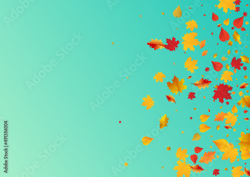 Autumnal Leaves Vector Blue Background. Wallpaper