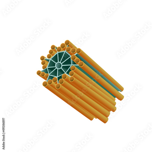 Centriole cell organelle structure diagram photo