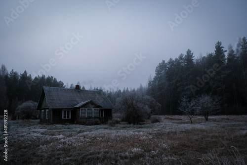 small country house in the middle of forest on a misty grey winter day