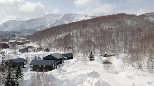 Green pine tree partly covered with a thick layer of snow between the large houses and bare trees with the high Mount Yotei in the background. Low angle drone slowmo dolley shot photo