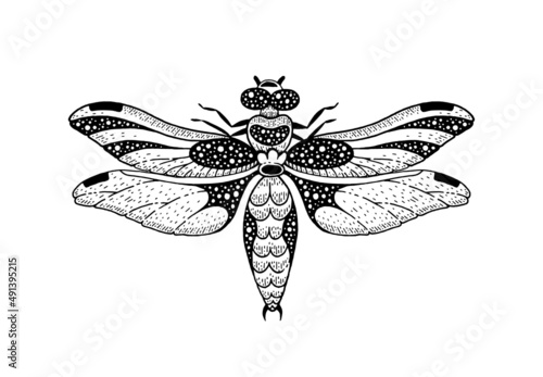 Dragonfly vector. Alchemy logo with moon, mystic butterfly. Vintage tattoo of geometric sketch dragonfly. Esoteric totem boho insect with space eye. Abstract astrology print. Occult animal drawing art