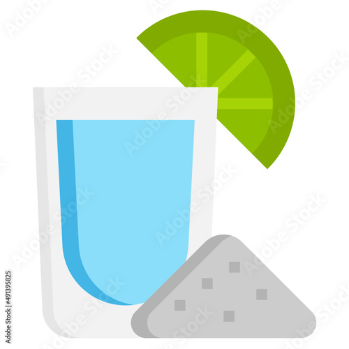 TEQUILA flat icon