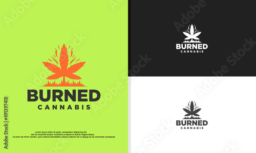 burned cannabis logo design vector illustration