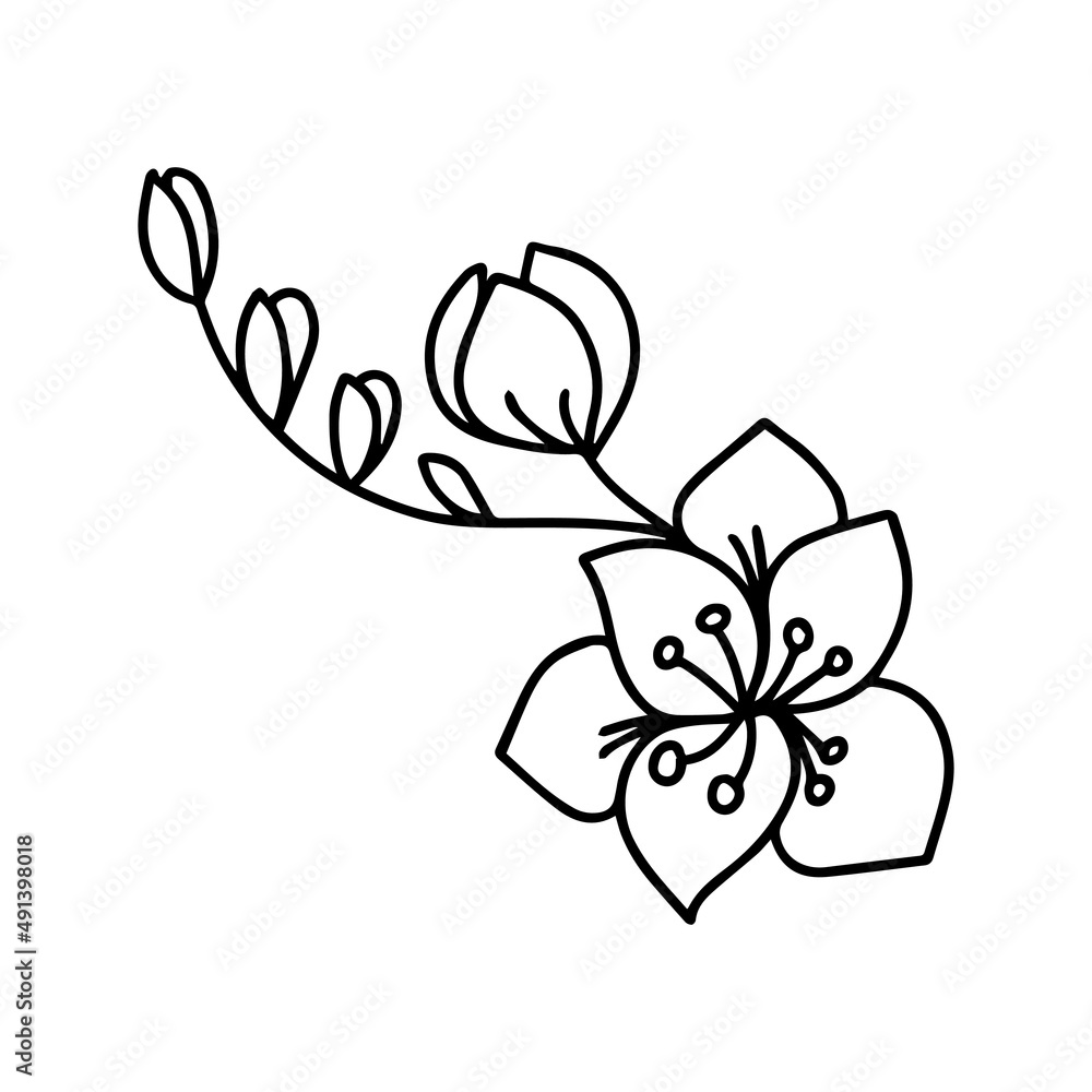 Fototapeta premium A hand-drawn icon of educational and social networks. vector. coloring book with black and white elements (page).