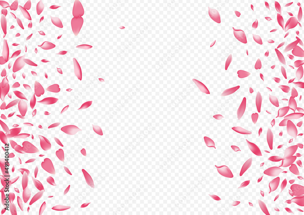 Bright Cherry Vector Transparent Background. Rosa Bright Cherry Vector Transparent Background. Rosa