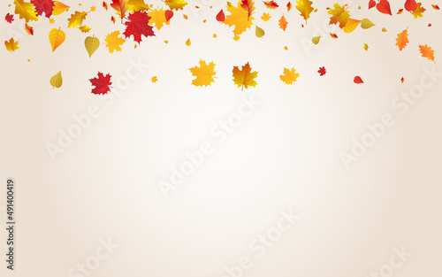 Brown Leaves Vector Transparent Background.