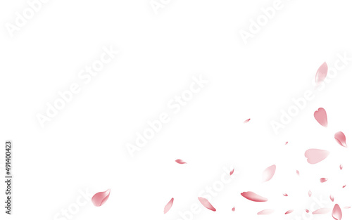 Pink Lotus Petal Vector White Background. Pastel