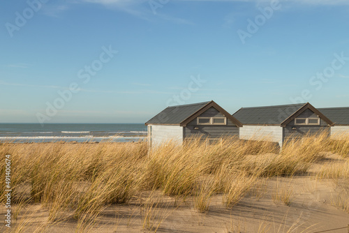 Beach houses in the dunes along the beach in Katwijk aan Zee. photo
