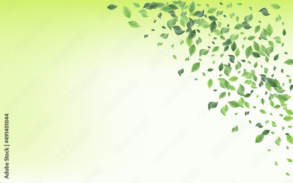 Grassy Leaves Flying Vector Green Background Grassy Leaves Flying Vector Green Background