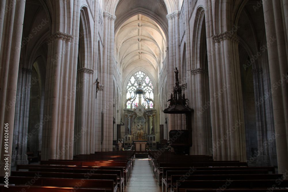 gothic cathedral (our lady of assumption) in luçon (france)