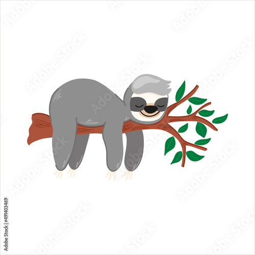 Vector illustration with a cute sloth sleeping on a tree, cute animal, cartoon-style children's illustration, for fabrics, postcards, posters, clothes.