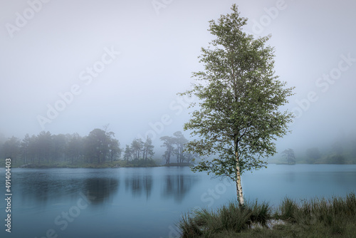 Lake District England United Kingdom 