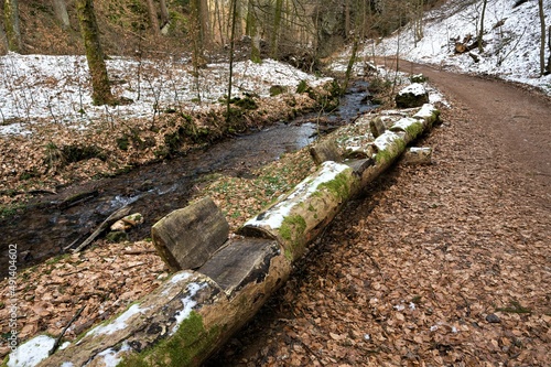 Originelle  naturbelassene Sitzgelegenheiten auf einem Stamm - Lauchagrund bei Bad Tabarz in Thüringen photo