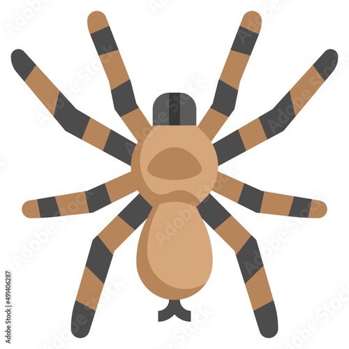 SPIDER flat icon