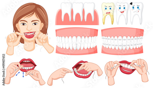 Set of all types of teeth on white background