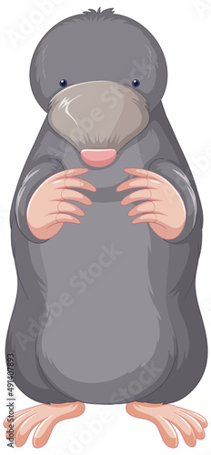 A little mole on white background