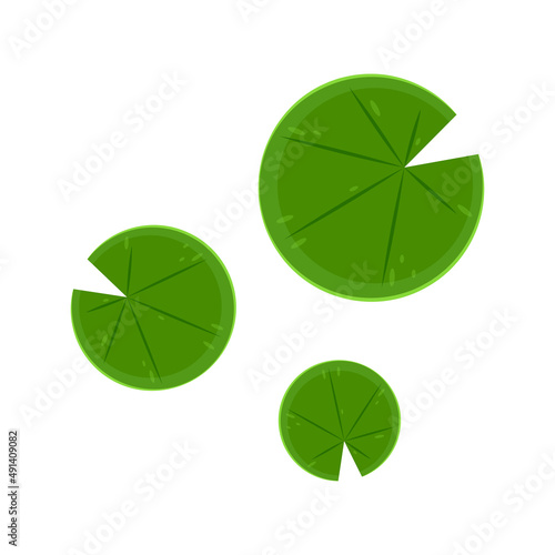 Lily pad icon. Lily cartoon vector on white background.
