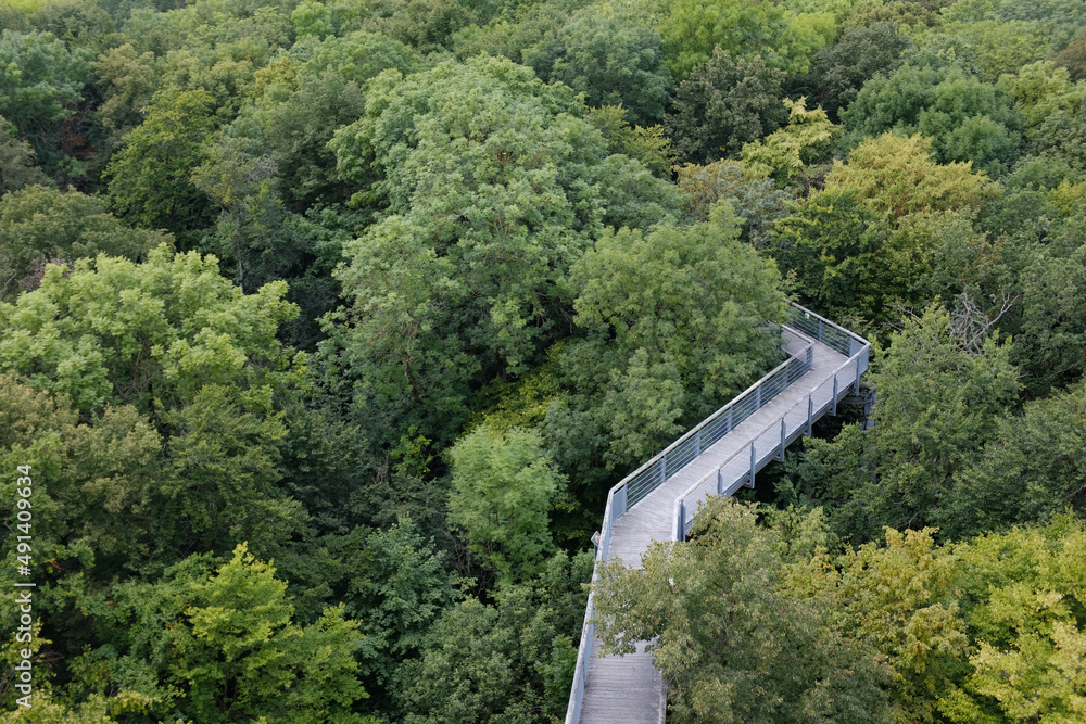 Fototapeta premium Baumkronenpfad