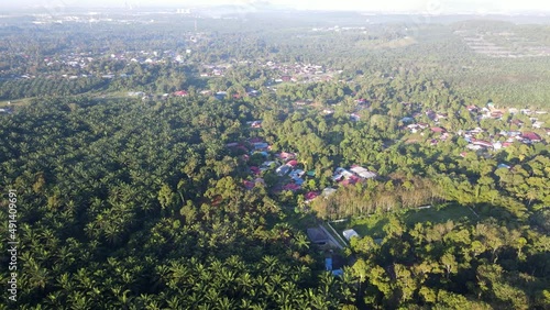 Aerial view Malays kampung near the green plantation at Junjung, Kedah, Malaysia photo