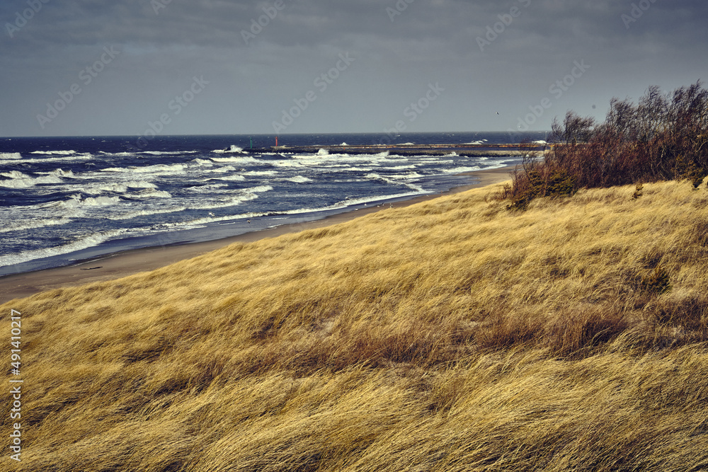 Fragment wybrzeża, trawa na brzegu morza, wydmy - obrazy, fototapety, plakaty 
