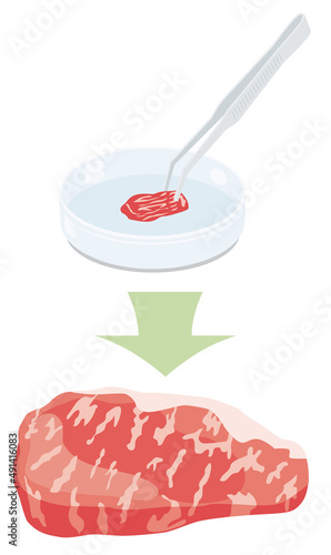 培養肉のイラスト