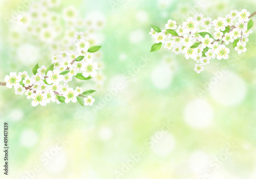 Bright green hand painting with blank space or graphic set in green on a spring day green.