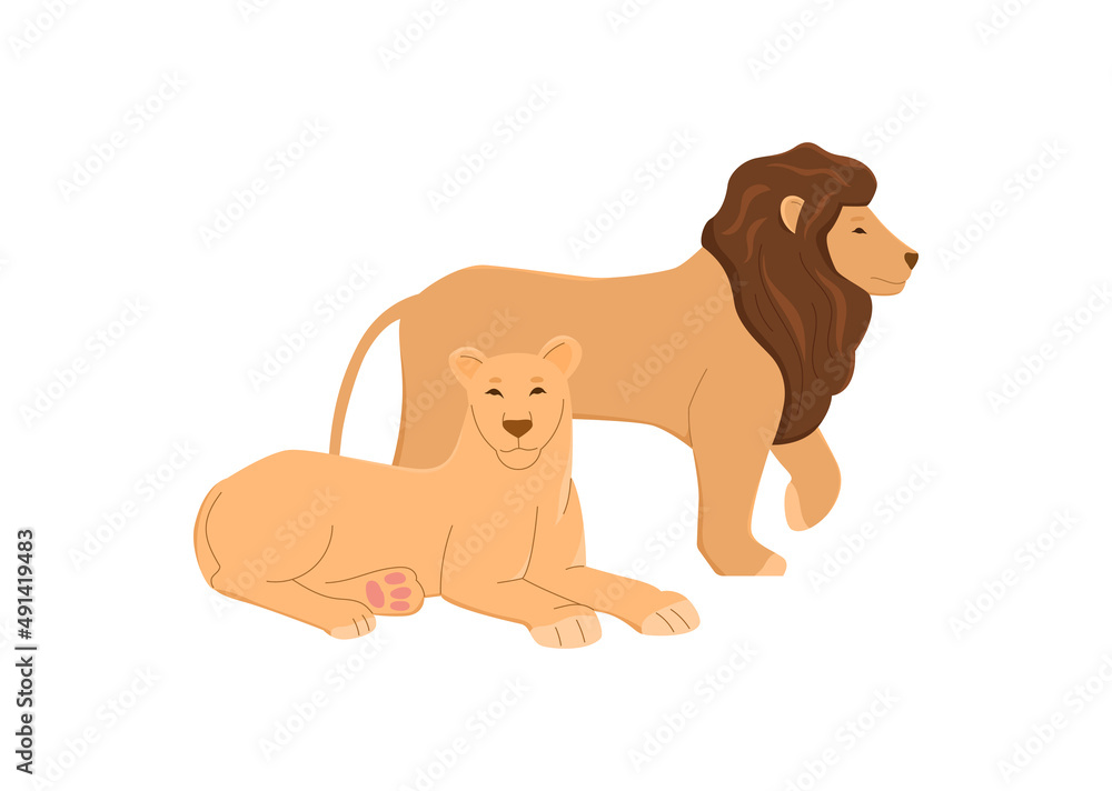 Family or pride with male and female lions, vector illustration isolated. Family or pride with male and female lions, vector illustration isolated.