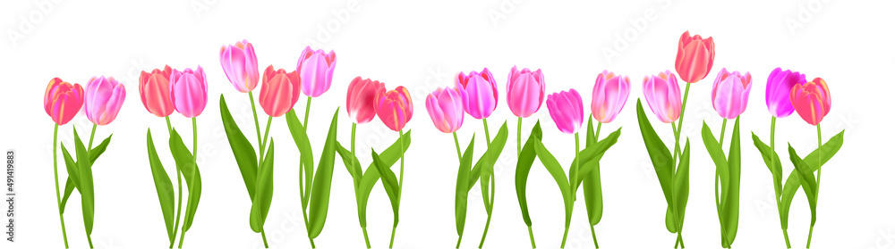Naklejka premium Border of spring blossom tulips